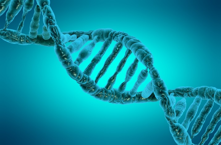 Digital illustration DNA by vitstudio, Shutterstock.com